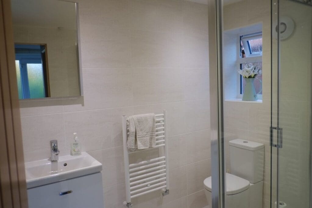 Garage Conversion – August – September 2017